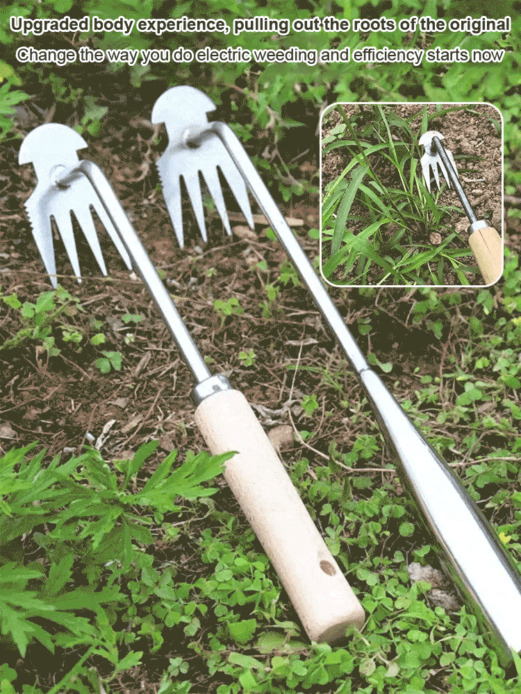 Multi-purpose Weeder