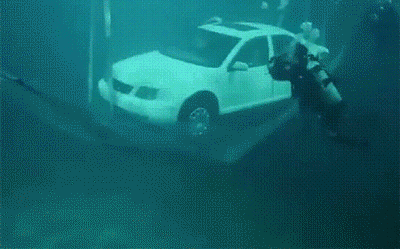 详情_19.gif