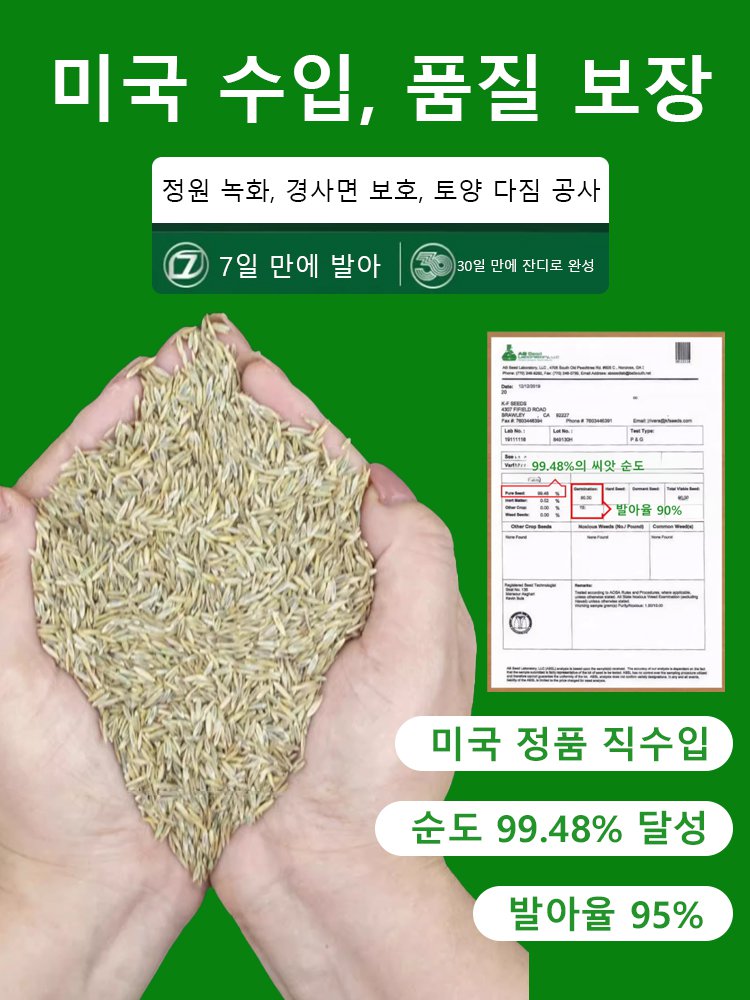 3cm 기적잔디