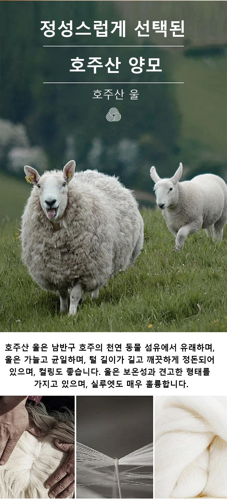 데일리룩으로 추천하는 맨투맨 세트