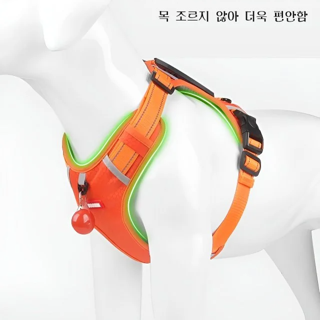 충돌 방지 반려동물 가슴끈 