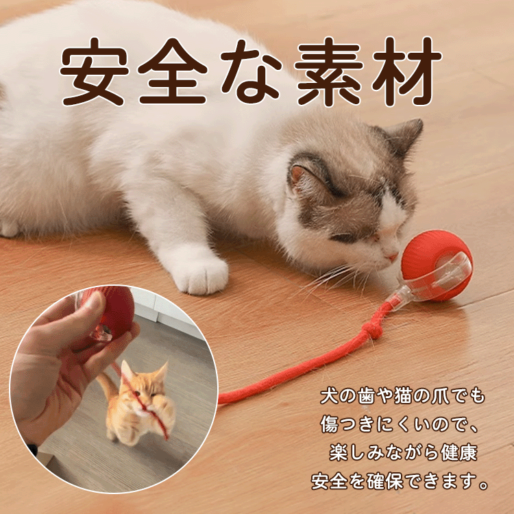 球体自動猫じゃらし