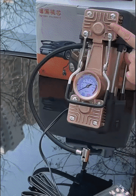 6.gif