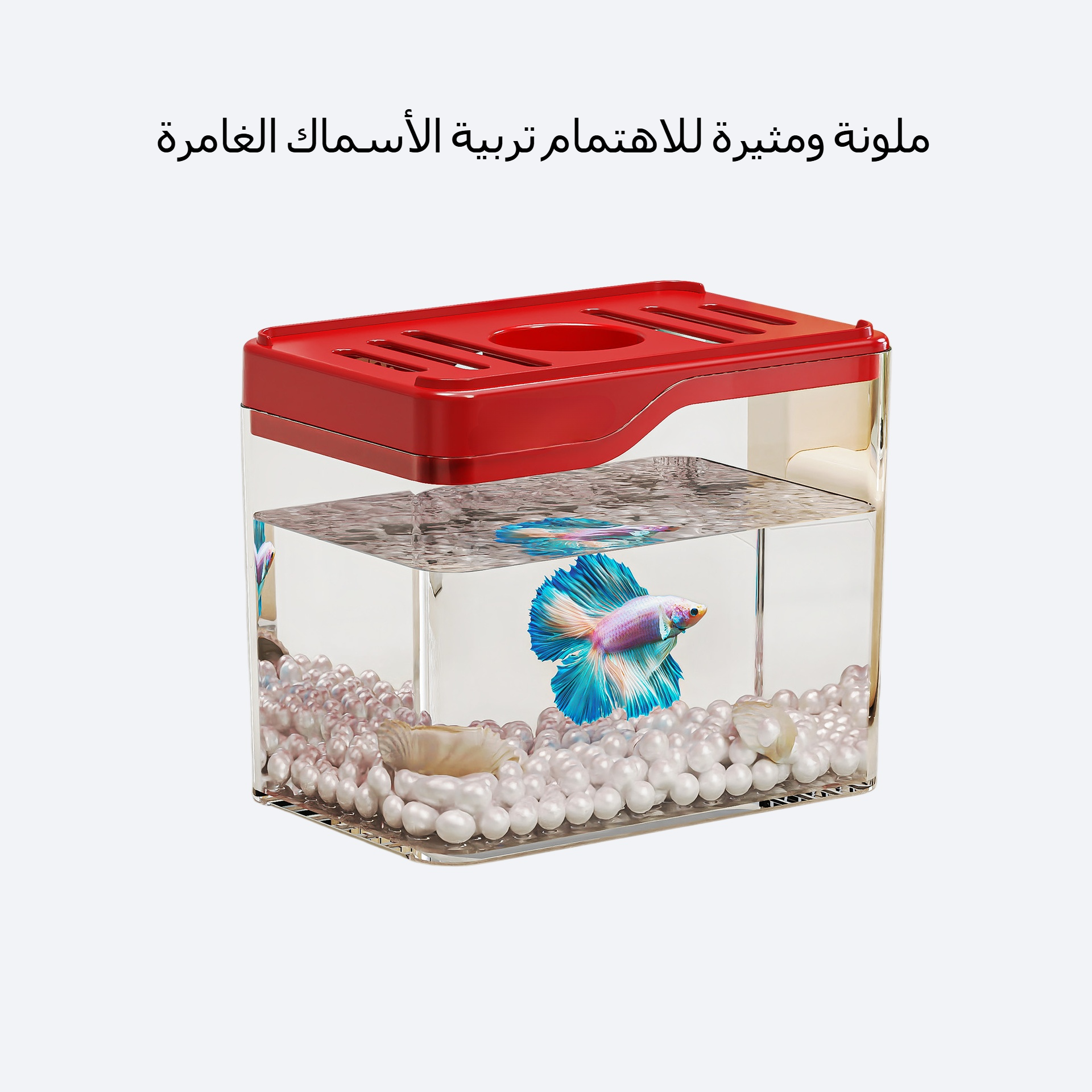 حوض سمك مكتبي