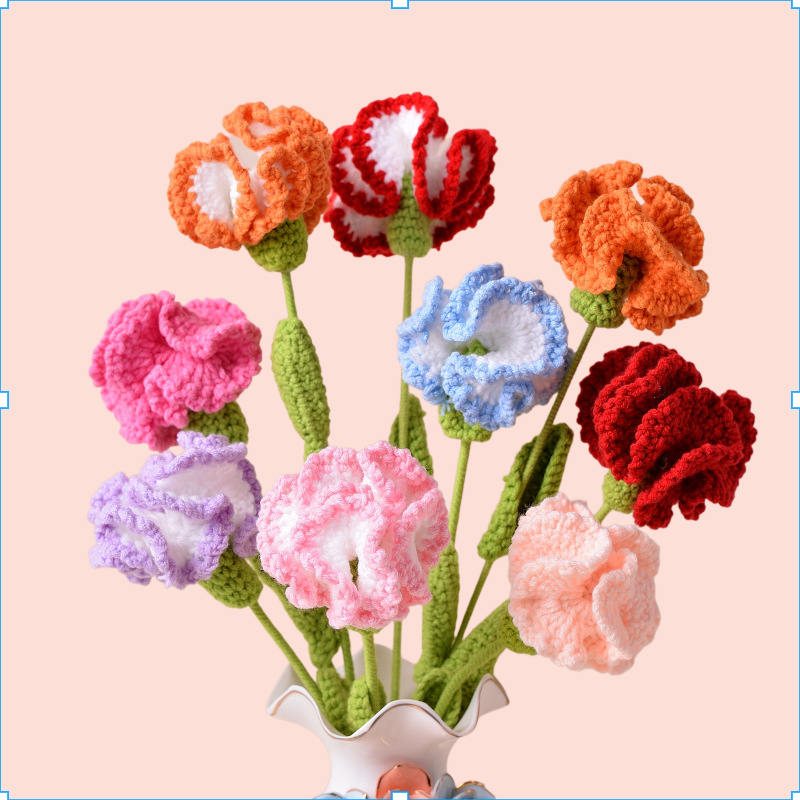 Braided Carnations