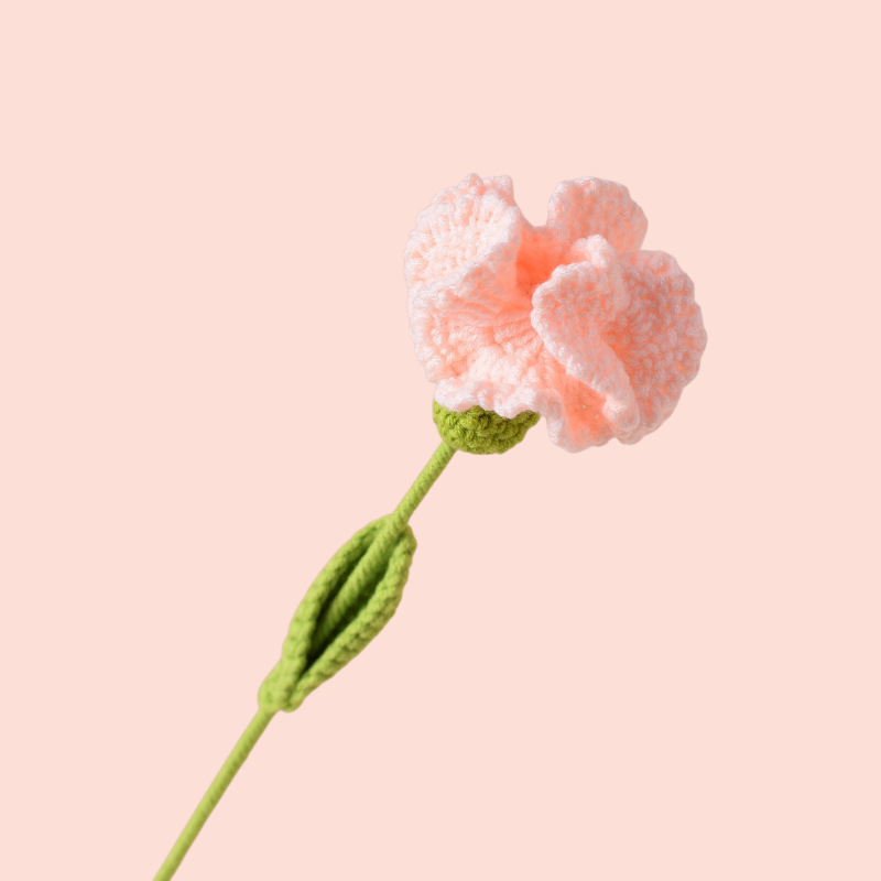 Braided Carnations