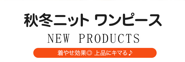 秋冬レイヤード風ニットワンピース全体イメージ