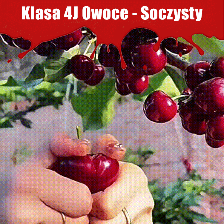 Wszystkie importowane nasiona wiśni