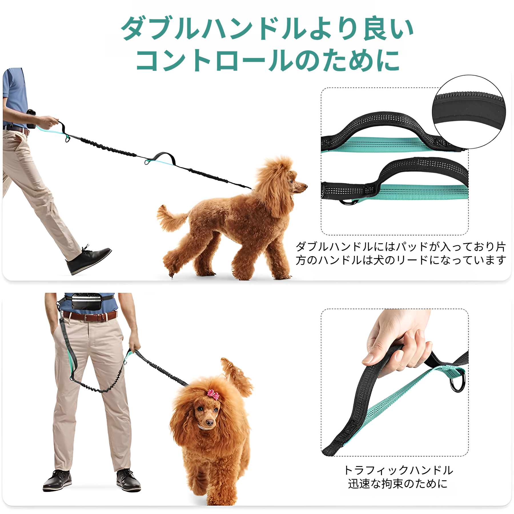 反射素材付き犬用チェーンの安全性