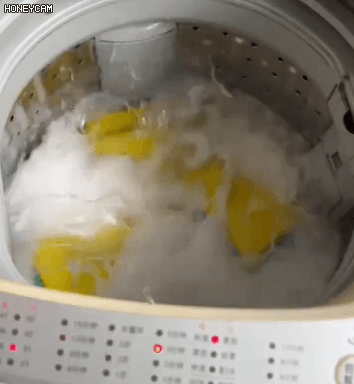 Honeycam 2025-03-03 17-41-47.gif