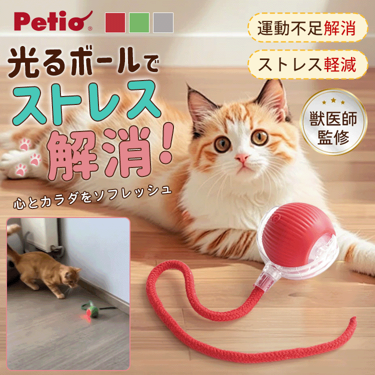 球体自動猫じゃらし