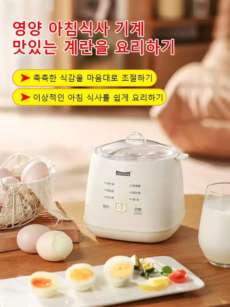 110V 다기능 계란찜기