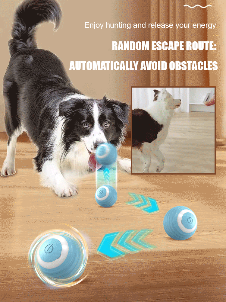 Pet cat smart electric rolling ball