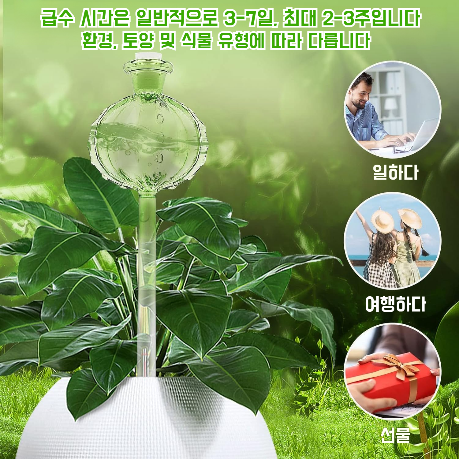 게으름뱅이 필수 자동 꽃꽂이 고붕소 실리콘 유리 점적 관개 점적기 선인 볼 식물 관개 신기