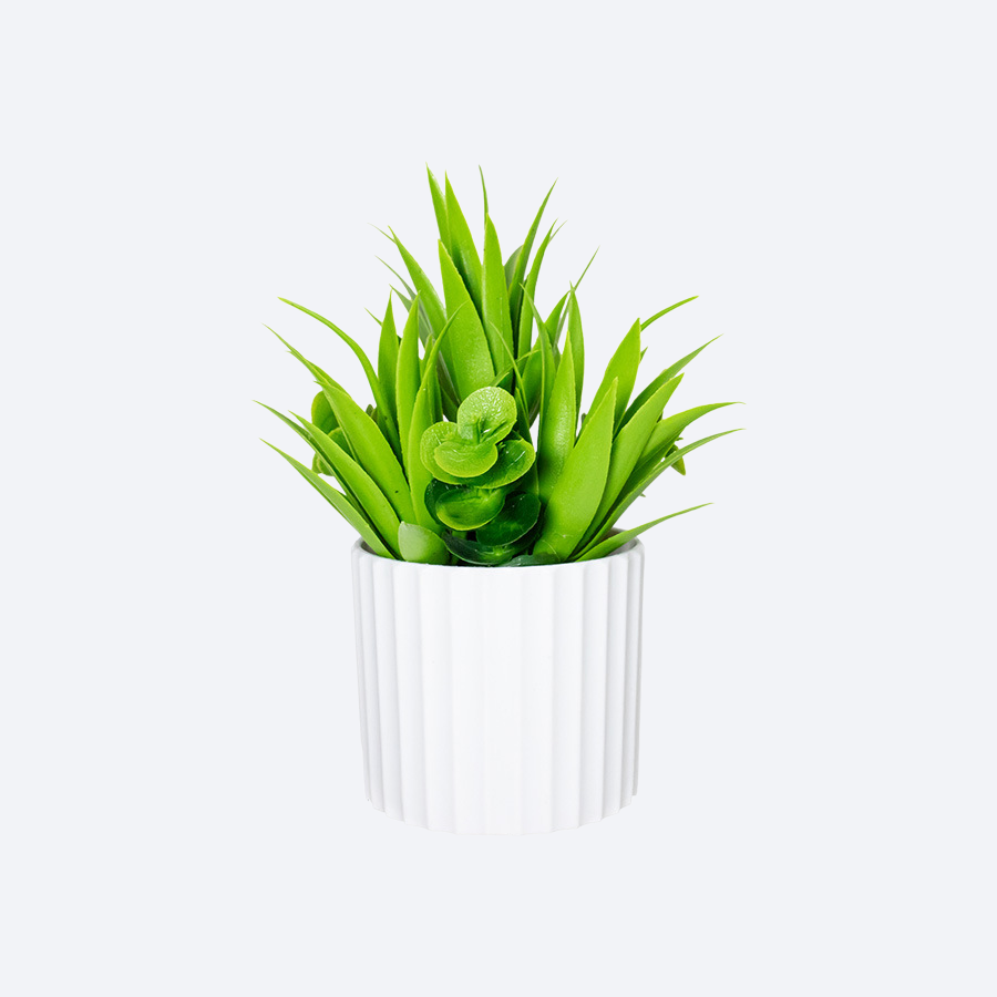 仮の緑植仿真盆栽ディスプレイ品