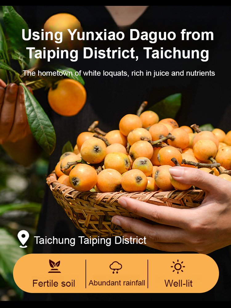 Dried Pei Pa Koa with Bamboo Salt (Pure Natural)