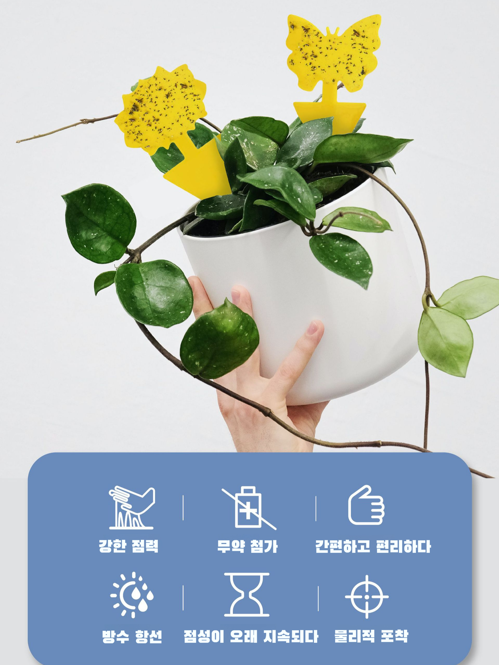 꽃형 이형 점충판 점충판 곤충유포기 곤충유포기 옐로우보드 꽃형 이형유포기