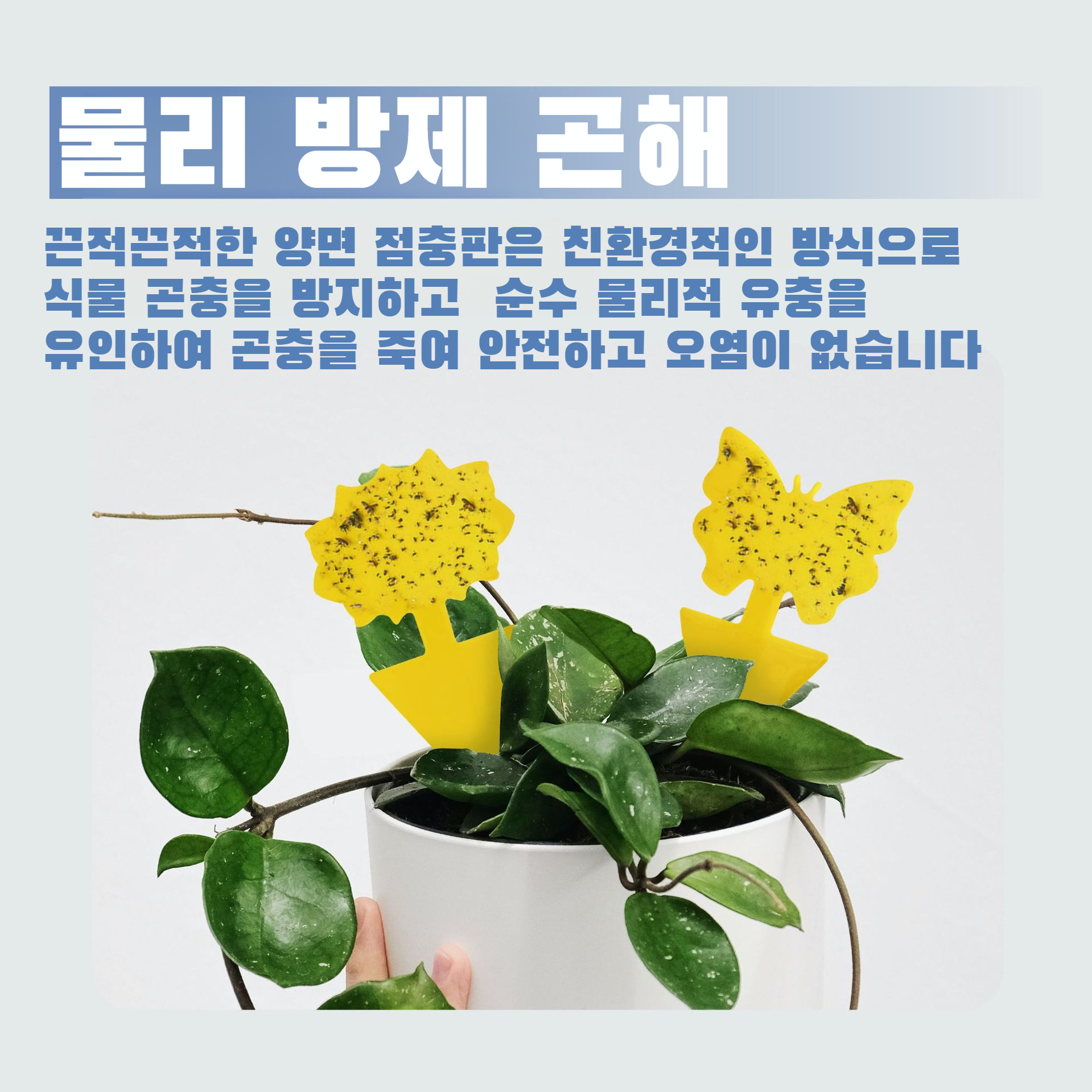 꽃형 이형 점충판 점충판 곤충유포기 곤충유포기 옐로우보드 꽃형 이형유포기