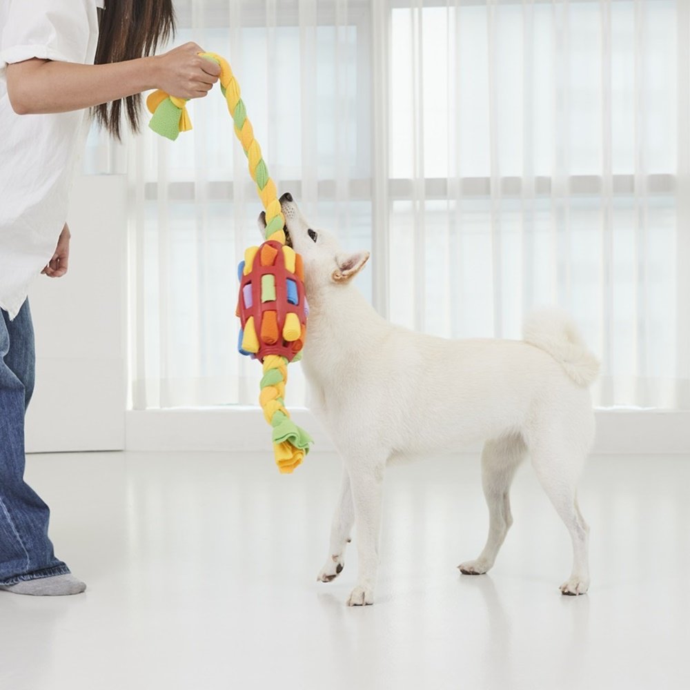 Bissfester Futterball für Haustiere