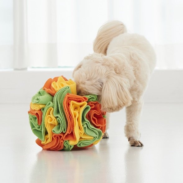 Bissfester Futterball für Haustiere