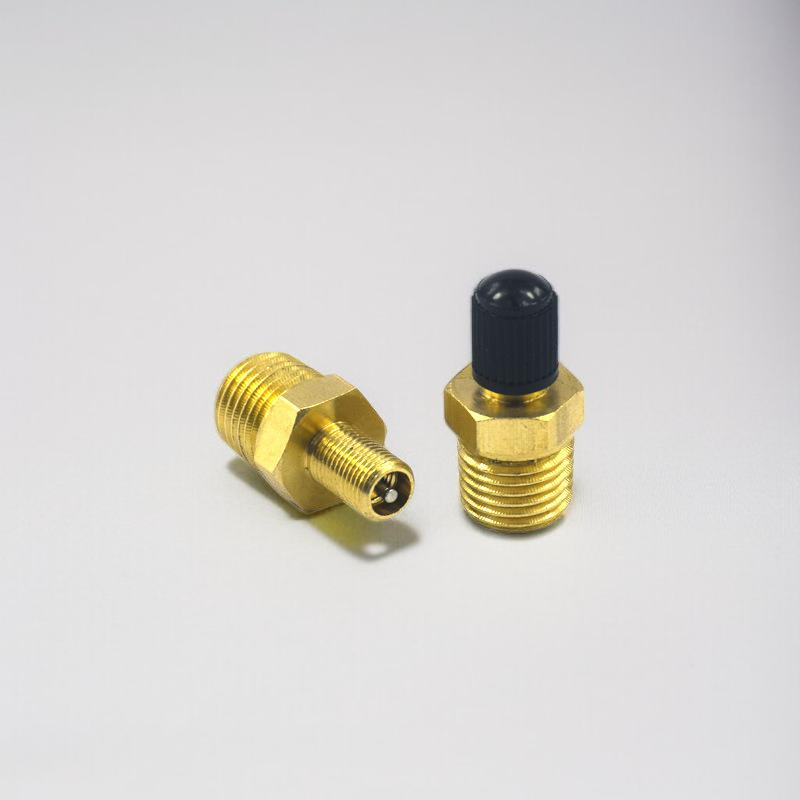 Automotive valve core for tire maintenance