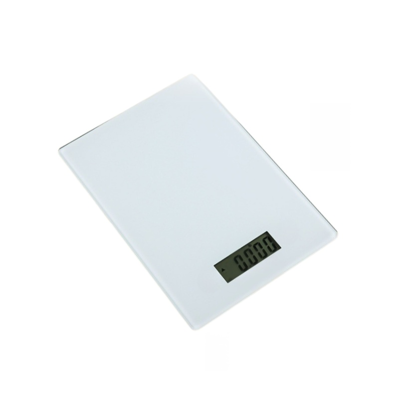 High Precision Electronic Scale