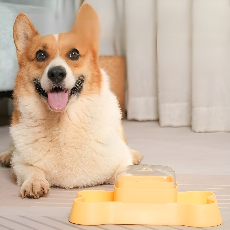 Smart Automatic Pet Feeder