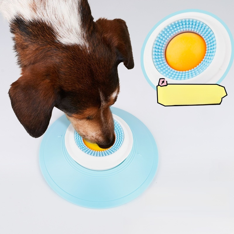 Le chien lèche lentement son assiette