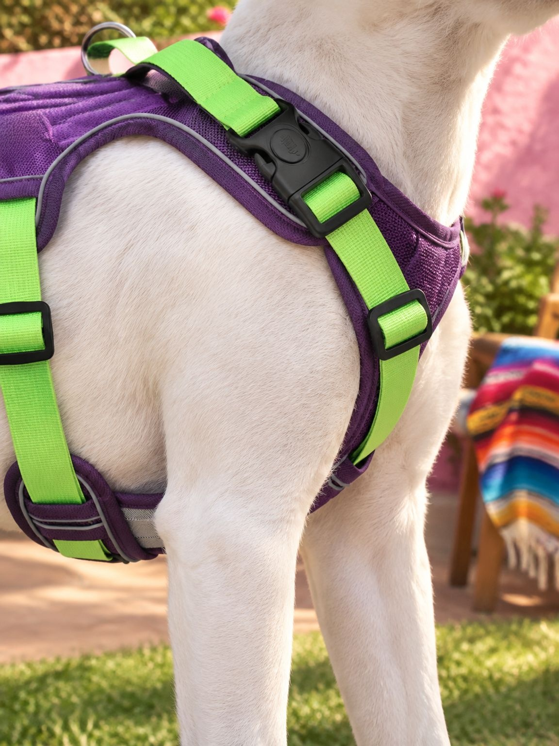 Detalle de costuras reforzadas de la pechera antitirones para perros