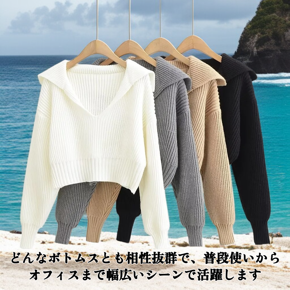 ラペルオールマッチセーター全体画像