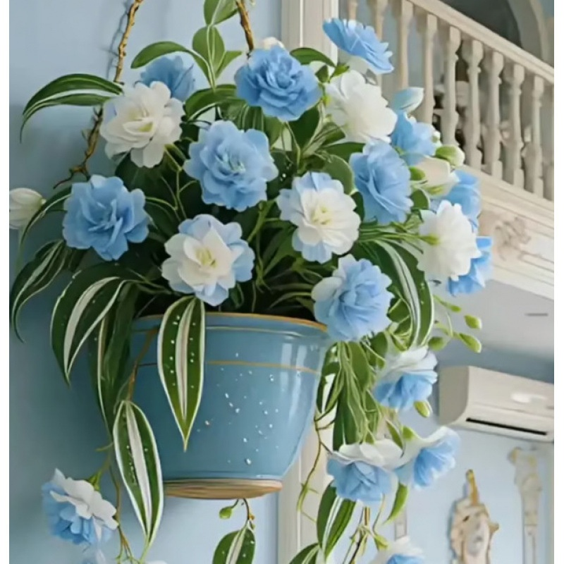 Semillas de Planta Colgante de Perfume