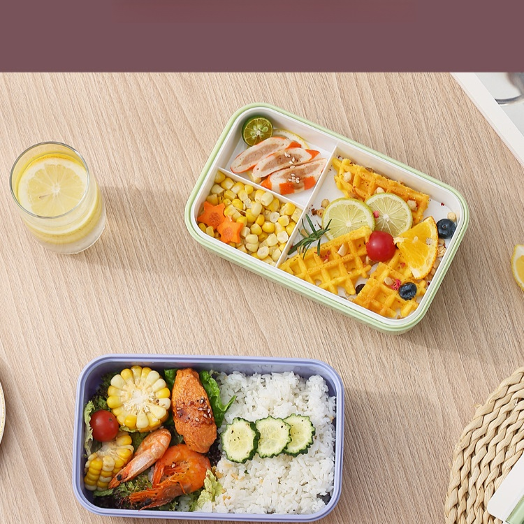 Portable student lunchbox