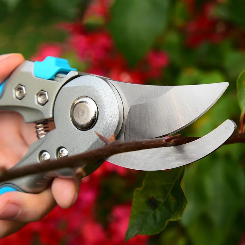 Professional new stainless steel sharp trimming machine