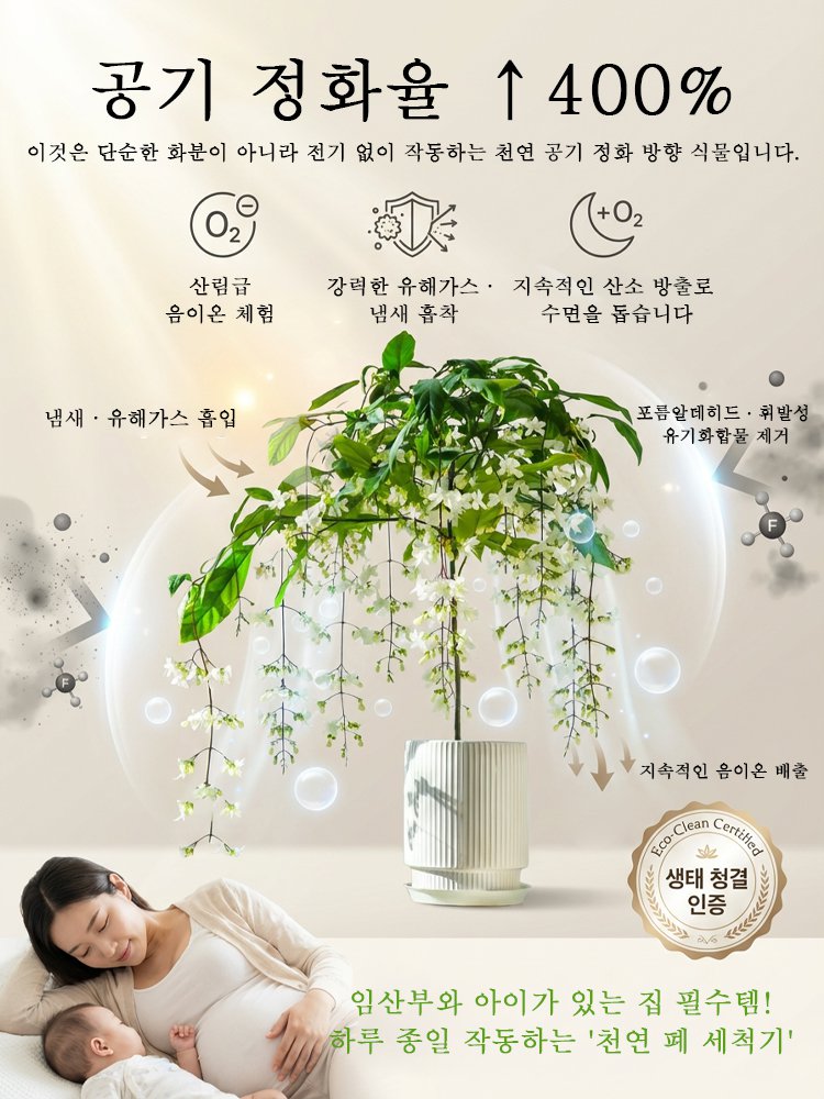 【향기 폭발】늘어지는 자스민 씨앗