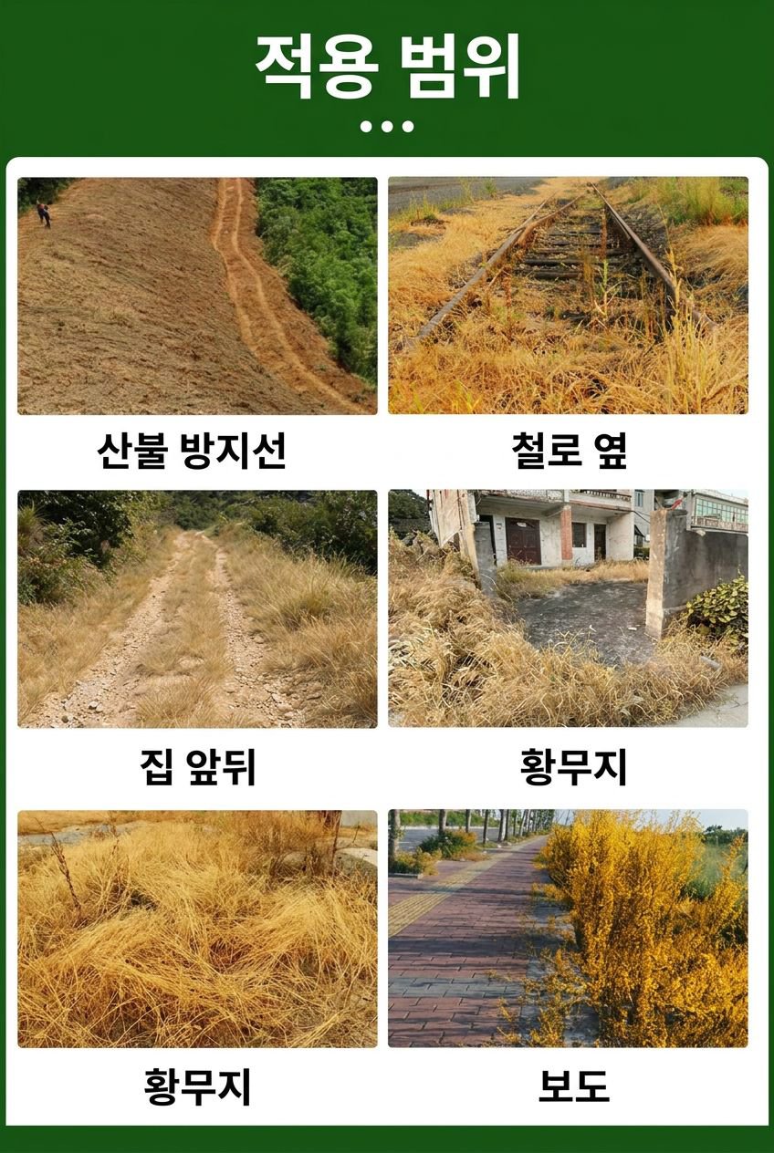 韩国本地化落地页16.jpg