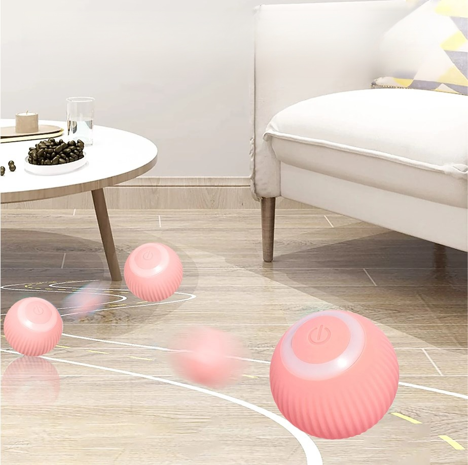 고양이 공 장난감