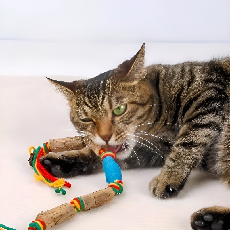 Cat Interactive Toy Silvervine Gall Rope