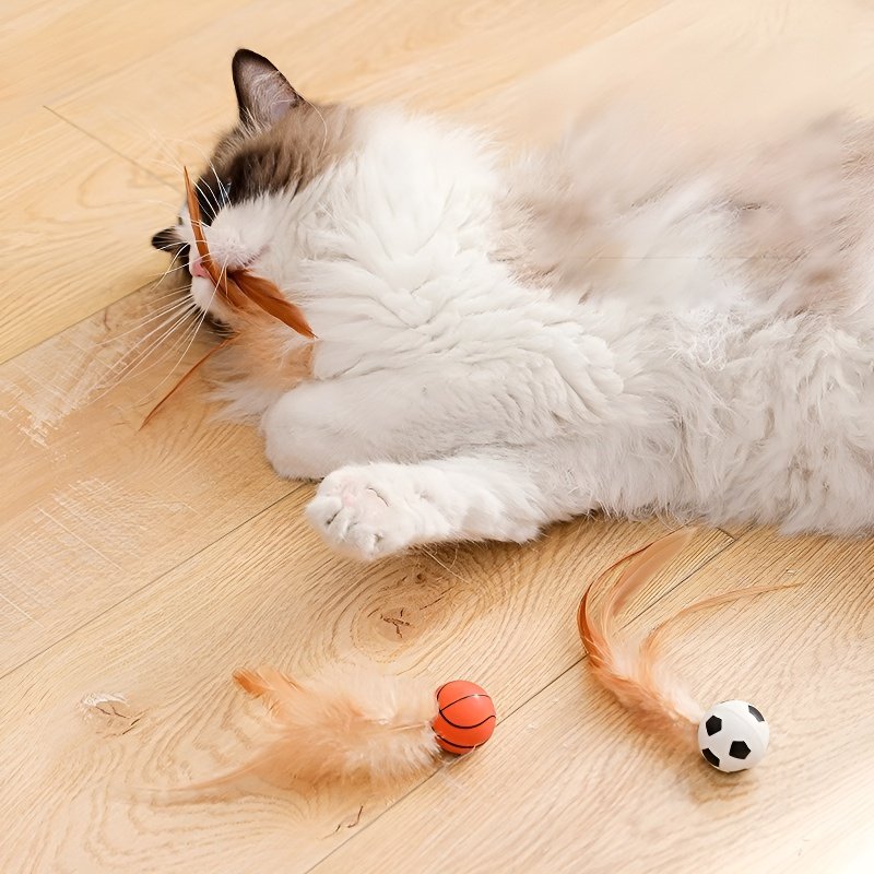 Balle à plumes rebondissante aléatoire