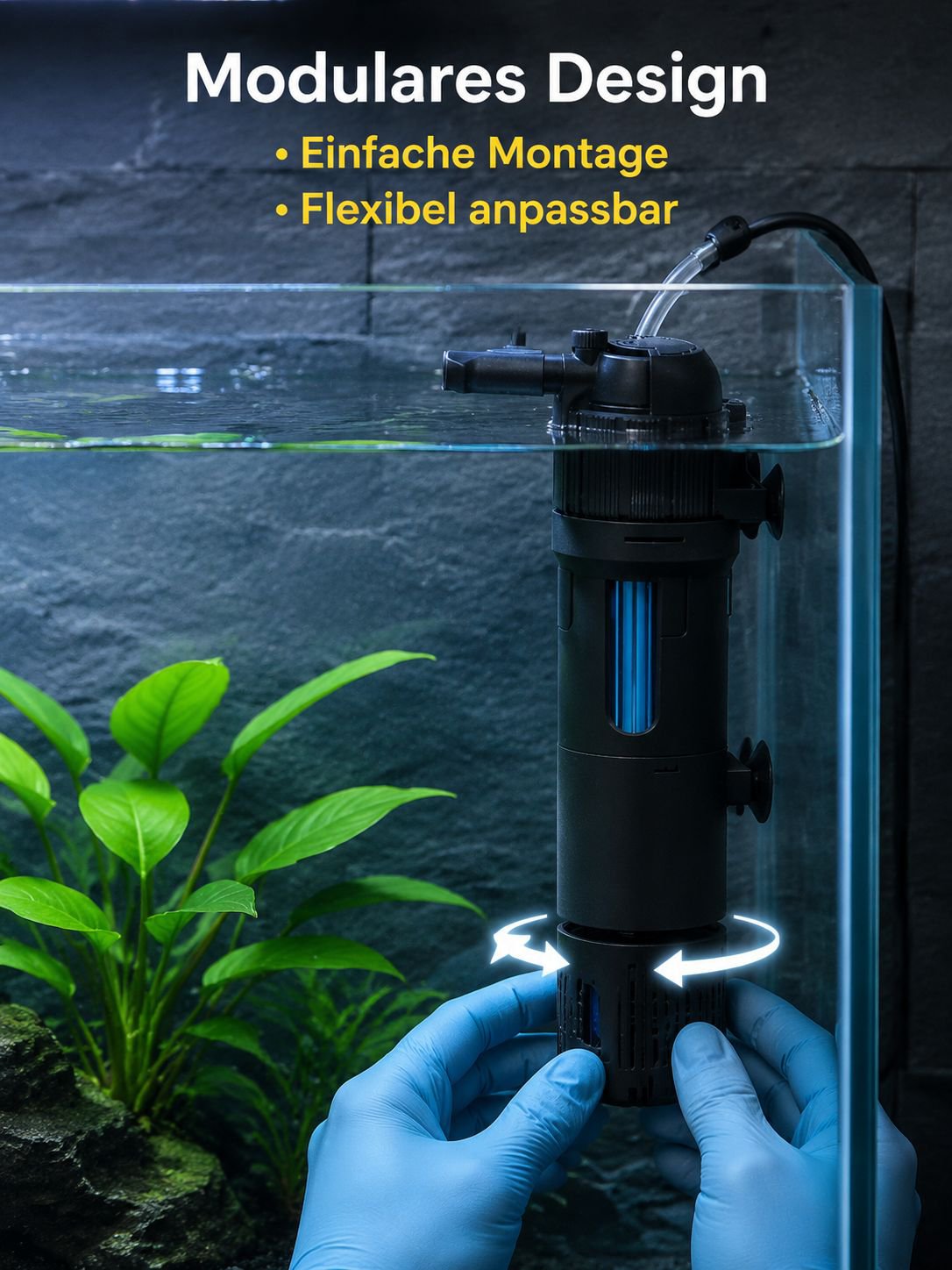 Aquarium mit kristallklarem Wasser dank UV-Filterbox