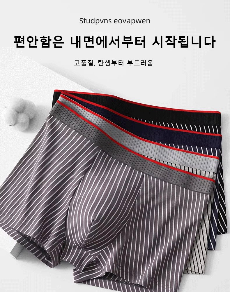 고급 10A 항균 통기성 남성 팬티