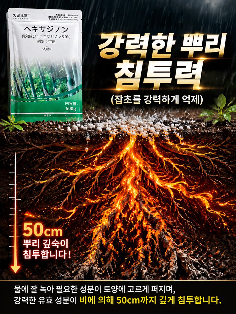 만 묘 황무지 쉽게 해결: 환진톤 원예 관리