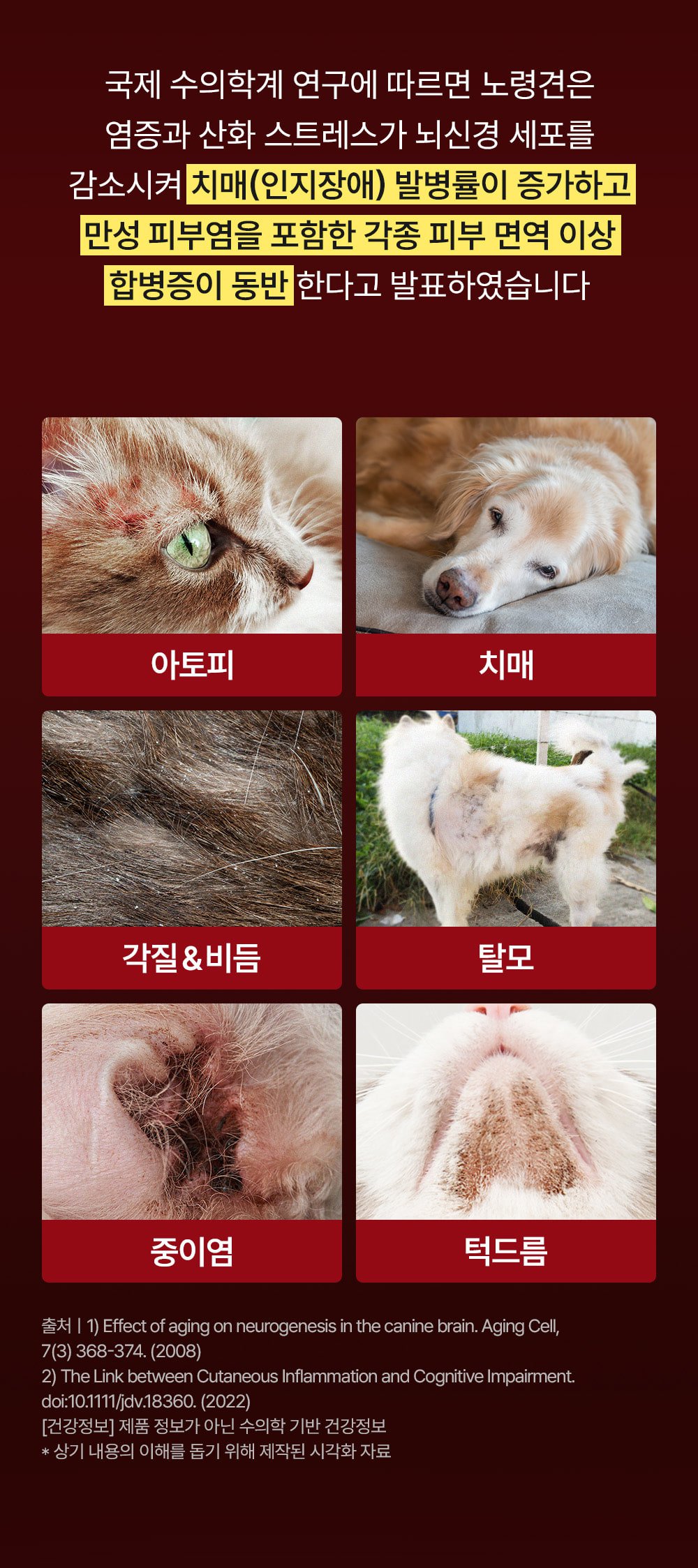 17_tg_om_dog_img (1).jpg