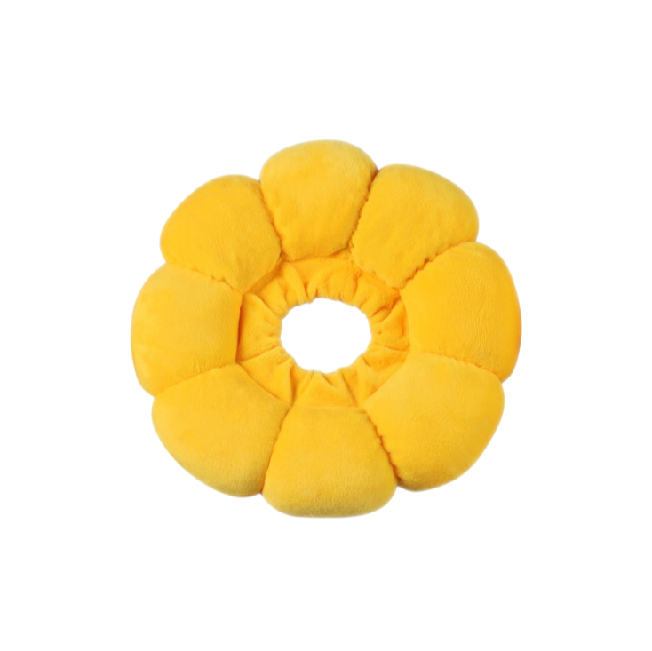 Collier Elizabeth pour animaux