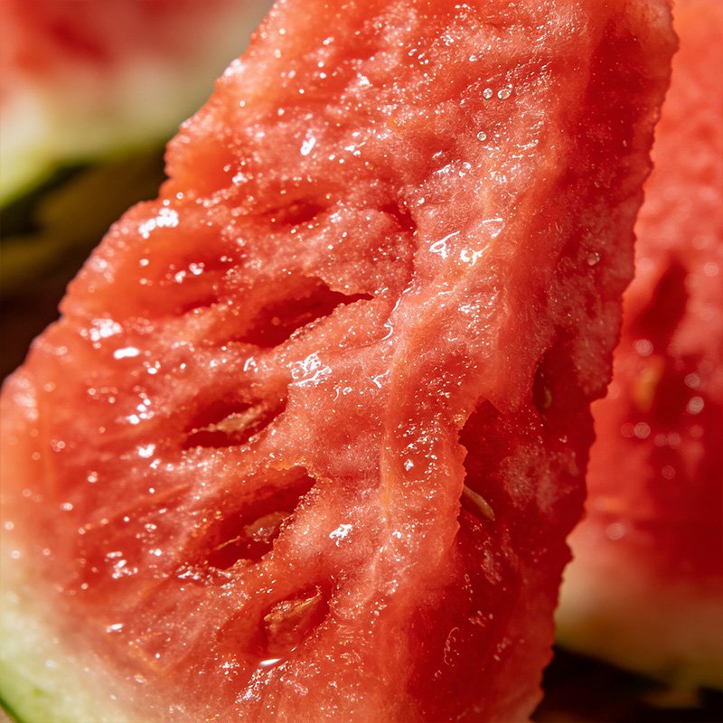 프리미엄 홍옥 수박 씨앗