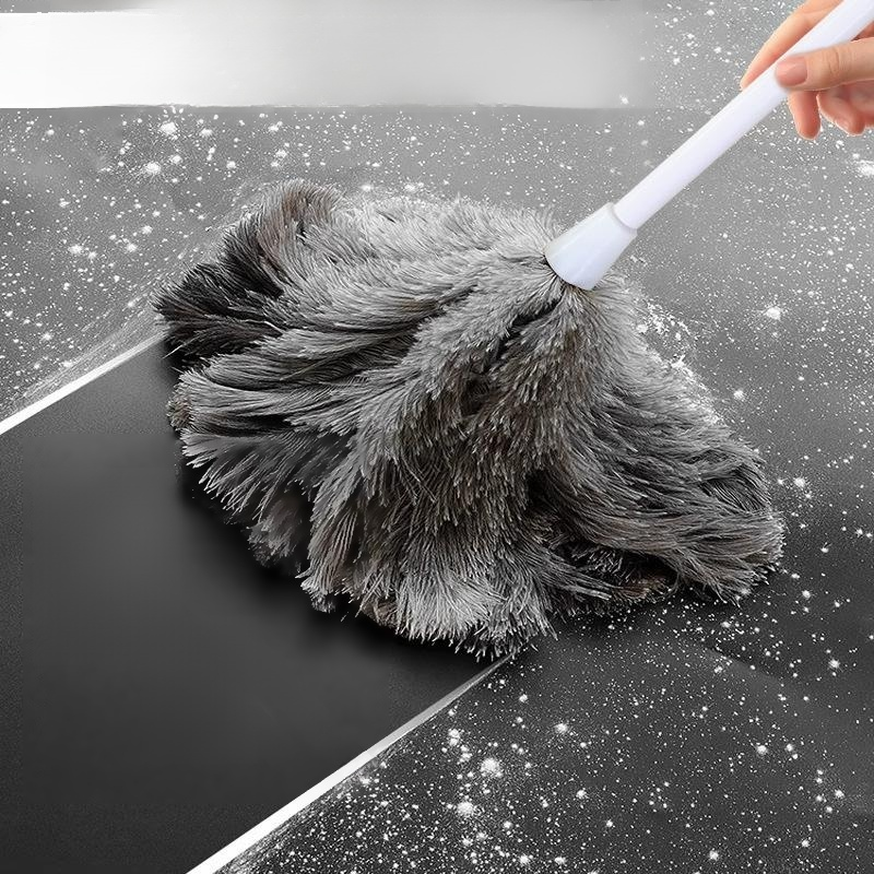 Staubwedel aus Straußenfedern