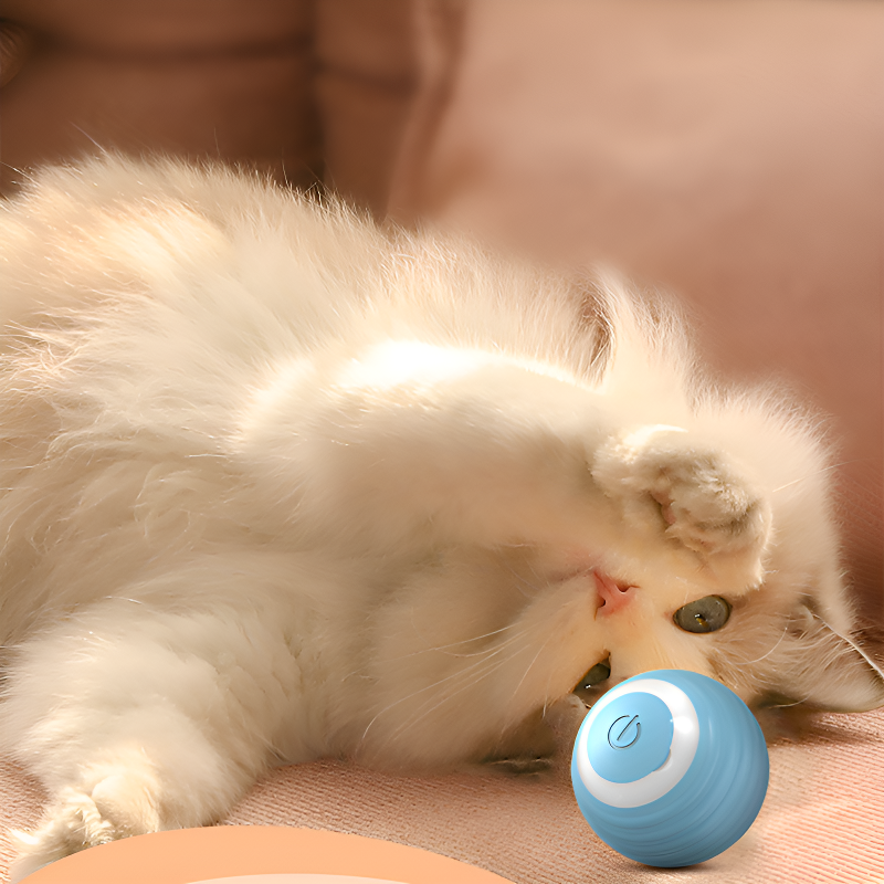 Jouet magnétique intelligent pour chat, balle interactive rechargeable