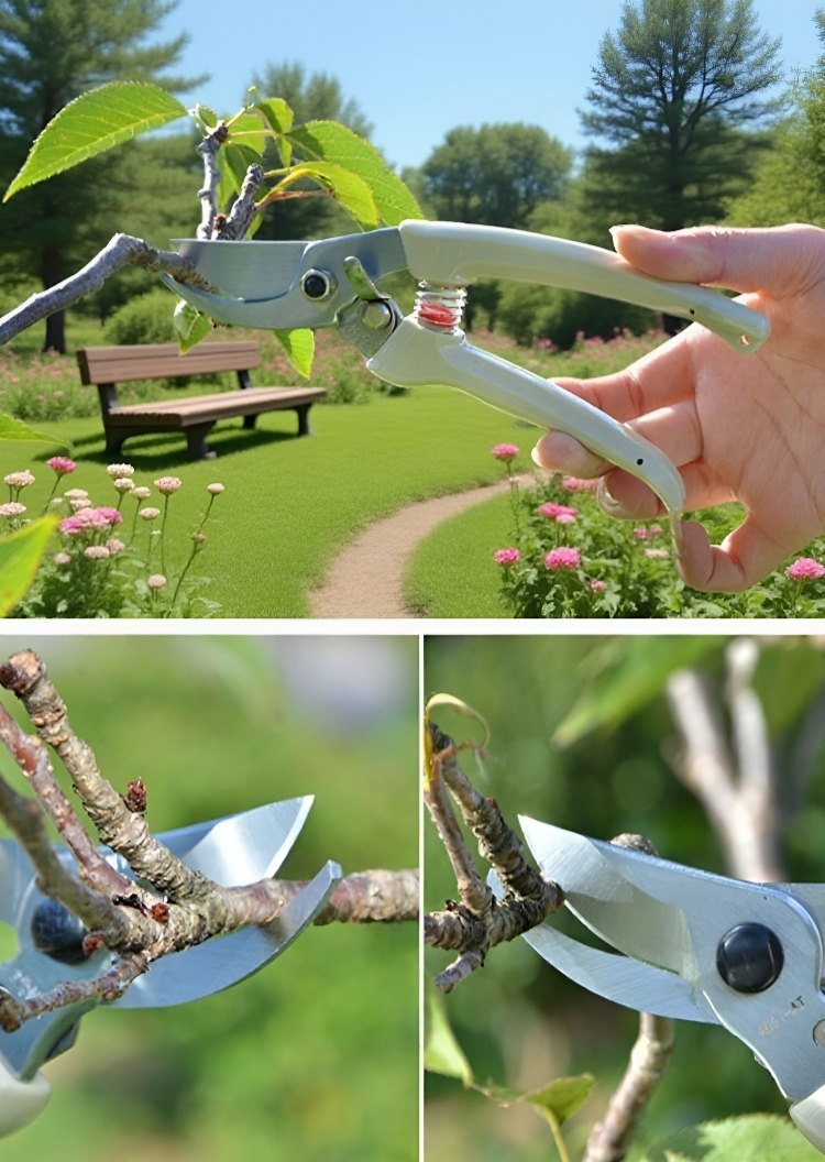 鋒利刀口剪裁效果展示