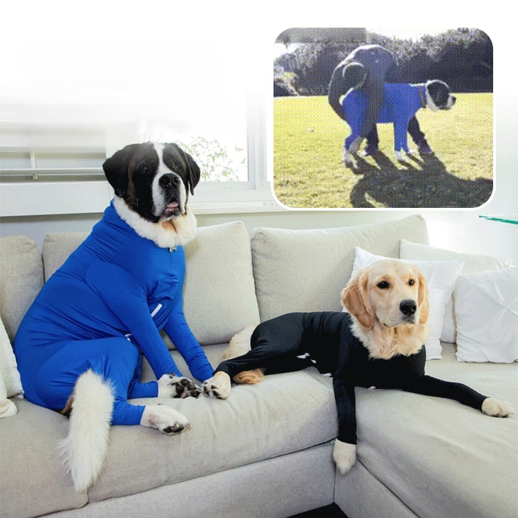 冬用防寒オールインワンペットウェア