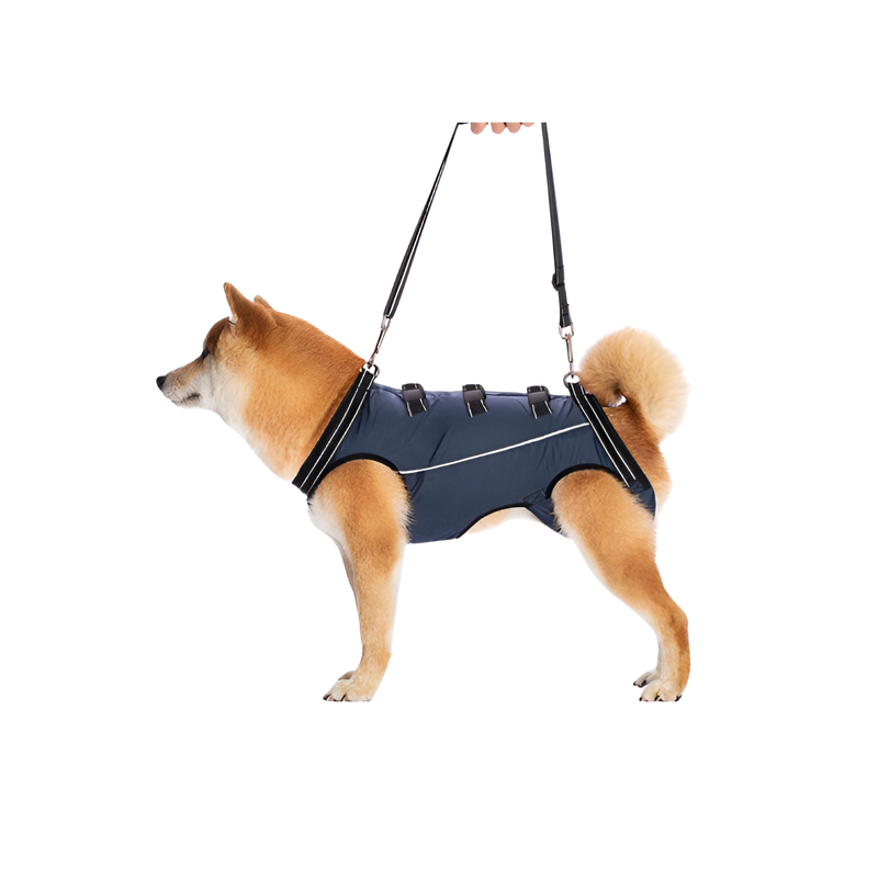 Dog Support Harness for Senior Dogs