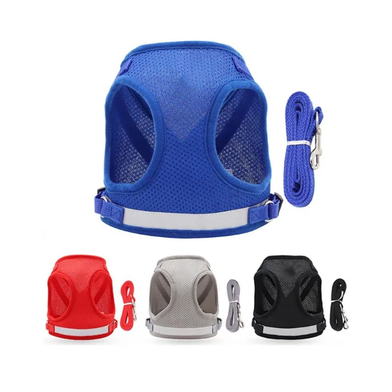 ปลอกคอสุนัข